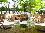 brunche, brunches, nous brunchons...