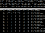 Putty 0.61 améliore performances