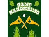 Camp NaNoWriMo 2ème Bilan