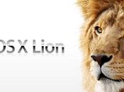 Lion disponible Store