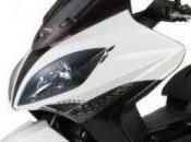 PROMO ProTeam Darmon