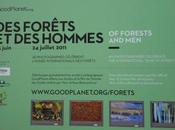 Forêts Hommes