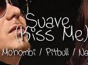 Nayer, Pitbull Mohombi reprennent tube latino "Suavemente"
