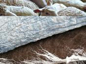 Diptyque, retour Textures laines