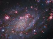 Image jour magnifique portrait galaxie 2403 avec supernova nébuleuses échévelées