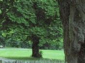 Bienvenue MOSAIC, jardin cultures.