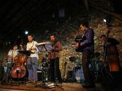 Pulcinella Dzsindzsa domptent fauves