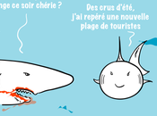 requins passent l'attaque