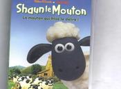 Shaun mouton