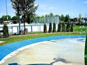 Week-end Reflections