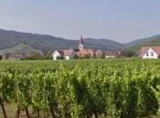 Choisir l'Alsace pour investissement immobilier (23/08/2011)