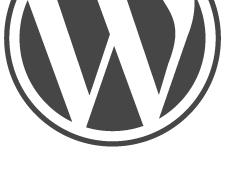 conseils pour rendre WordPress performant