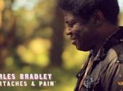 Charles bradley heartaches pain pitchfork.tv