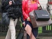 Absolutely fabulous revient..
