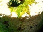 BUFFET Terrine fromage