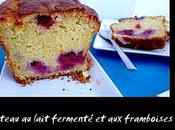 Gâteau lait fermenté framboises