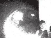 Other Lives Tamer Animals