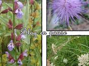 Petite info, septembre 2011