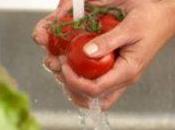Laver légumes protège contre bactéries