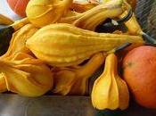 Coloquintes arrivent chez votre fleuriste