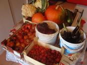 retour motte, septembre 2011