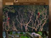 Projet Finding Nature