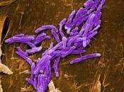 INFECTIONS Après cuivre, zinc Inserm Cell Host Microbe