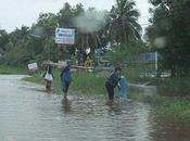 septembre 2011: Udonthani, innondations Nong Rong.