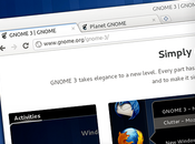 Thème Gnome Shell Adwaita pour Google Chrome