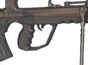 L'envie mourir pour patrie, critère d'obtention nationalité française l'UMP