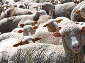 bonheur dans servitude