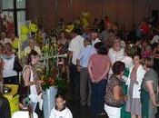 Résultats Coupe Espoir Interflora Bouches Rhône