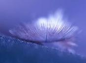 consciente, rêves lucides