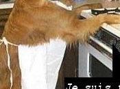 Alors blogueurs amis hautetfort.com