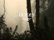 GUIDES: This Amateurs chillwave basses…),...