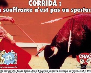 Ce que vous devez savoir de la préparation des taureaux avant les corridas