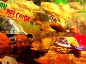 Melchior Nylon Valance