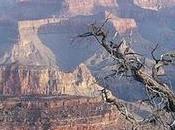 Parc national Grand Canyon