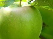 pomme aliment santé