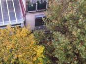 Jolie avec balcons Chartreux Petit Prix