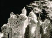 Rebecca Daphné Maurier