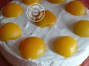 Mousse abricots