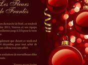 Création d'un Flyer pour Fleurs Franliz