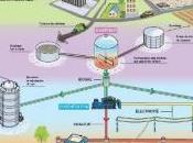 Gouvernement renforce soutien méthanisation