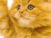 fait froid, réchauffons nous avec chansons, musiques.