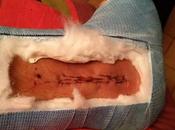 Enzo notre coach cascadeur