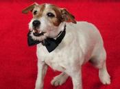 Uggie campagne pour Artist