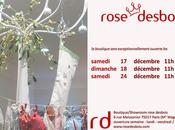 Noël chez rose desbois