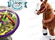 Expéditions Ponycycle Perplexus route