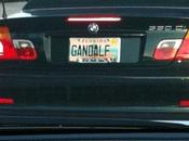 Immatriculation: Gandalf